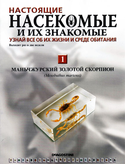 Насекомые и их знакомые № 1 (январь 2010)